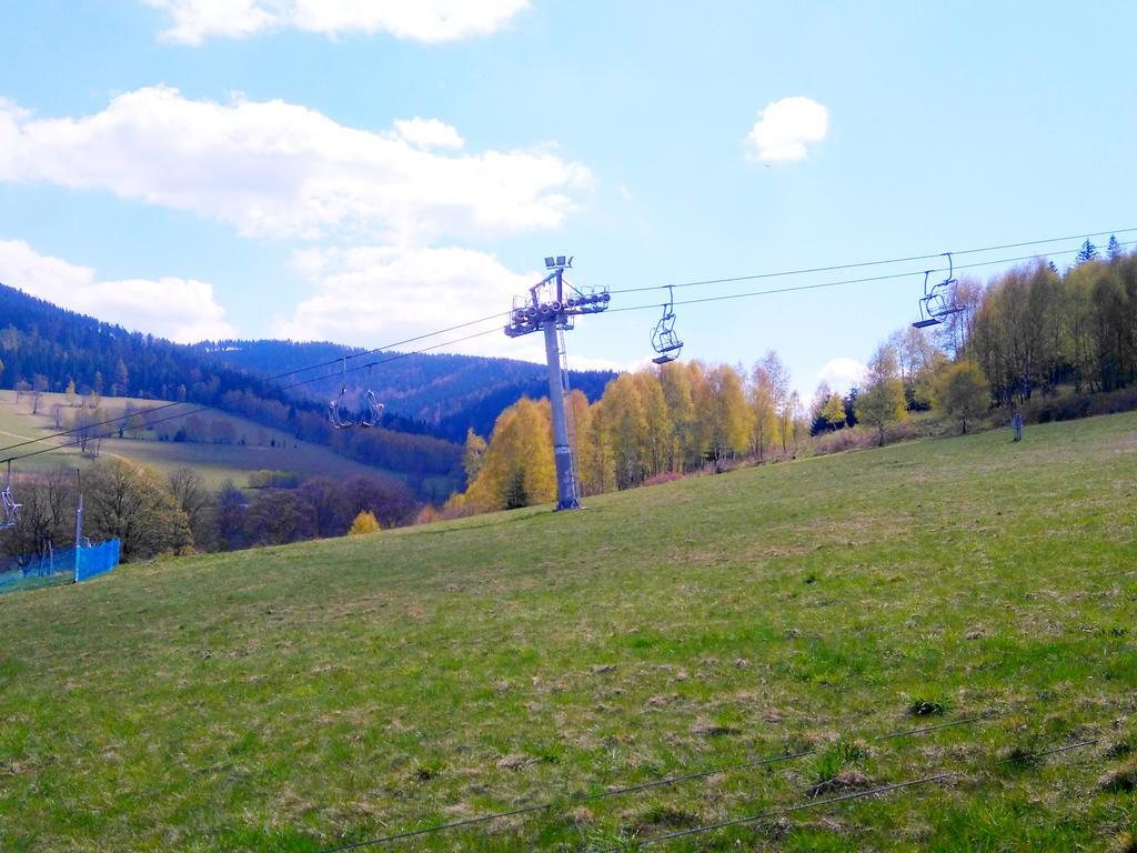 Pensjonat Zielone Wzgorze Boleslawow Stronie Slaskie Exterior photo